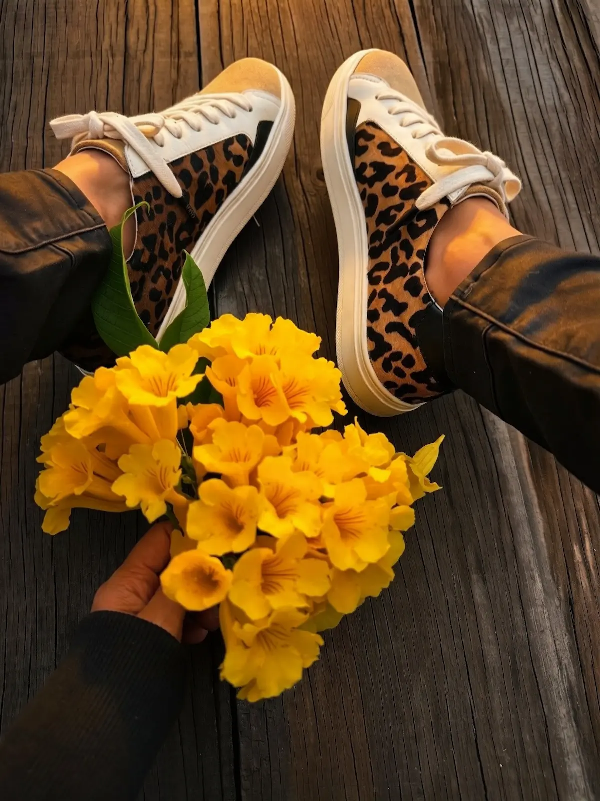 tenis-sneaker-agua-de-mayo-cuero-leopardo